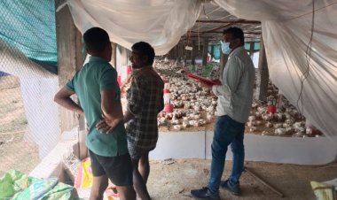 पशुधन विकास विभाग द्वारा एवियन इन्फ्लूएंजा (बर्ड फ्लू) हेतु सतत निगरानी कार्य जारी