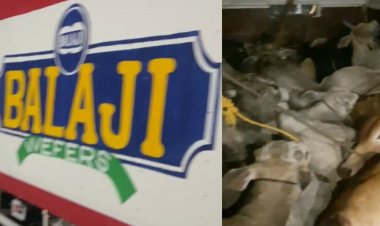 बालाजी चिप्स-कुरकुरे के कंटेनर से मिले 17 मवेशी:अजीब आवाजें सुनकर लोगों ने पुलिस को बताया; ड्राइवर फरार