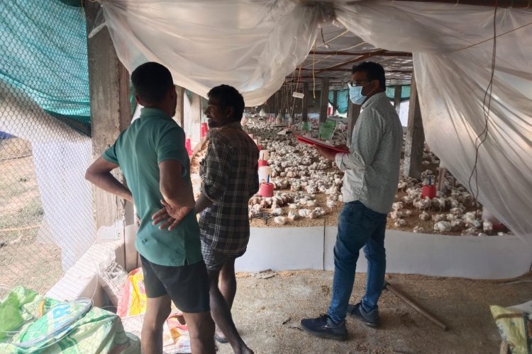 पशुधन विकास विभाग द्वारा एवियन इन्फ्लूएंजा (बर्ड फ्लू) हेतु सतत निगरानी कार्य जारी