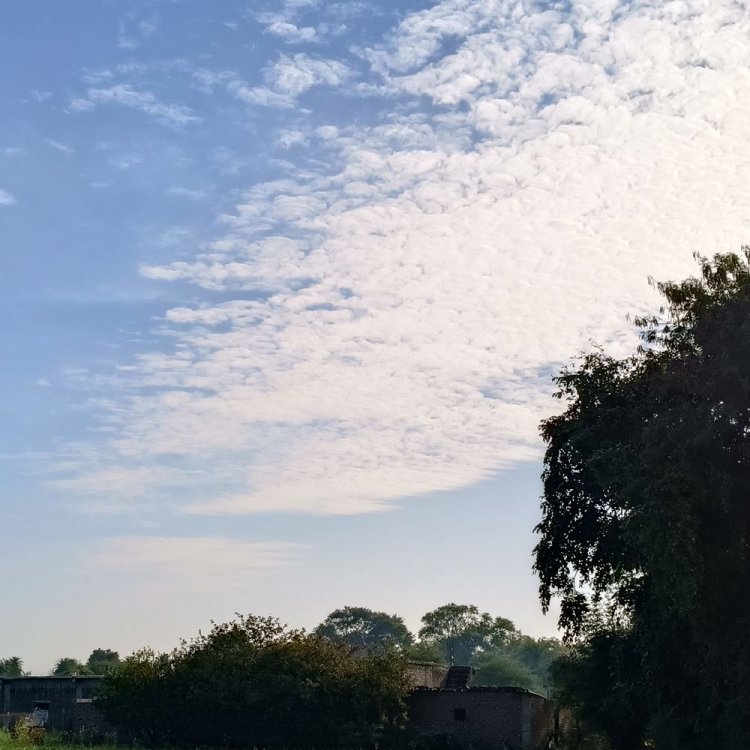 अशोकनगर में छाए बादल:तापमान 30.2 डिग्री पर स्थिर; न्यूनतम पारा 12.5 डिग्री दर्ज