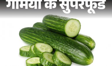 गर्मियों का सुपरफूड- हड्डियों को मजबूत बनाता खीरा:दिल और किडनी के लिए फायदेमंद, वेट कंट्रोल करता, जानें किसे नहीं खाना चाहिए