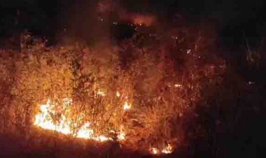 खरसिया वन परिक्षेत्र के पहाड़ों में चार दिन से लगी है आग