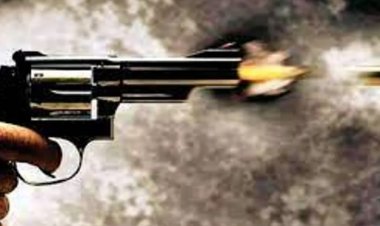 न्यू मेक्सिको में पार्क में गोलीबारी में तीन लोगों की मौत, 15 घायल