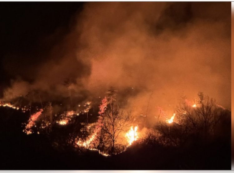 दक्षिण कोरिया : जंगल की आग को बुझाने में बाधा बनी तेज हवाएं, लोगों को घर खाली करने के निर्दश