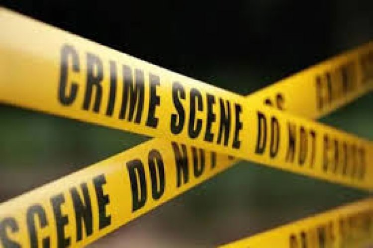 डिज्नीलैंड में छुट्टियां मनाने के बाद भारतीय मूल की महिला ने गला रेतकर की बेटे की हत्या