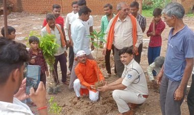 केशवगढ़ की अमृत वाटिका में 200 से ज्यादा पौधे लगे:पंचायत टैंकर से हो रही सिंचाई, पर्यावरण संरक्षण के लिए स्कूली बच्चों को भी जोड़ा