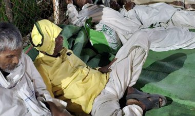 विस्थापन और मुआवजे की मांगों पर अड़े पीड़ित परिवार:छिंदवाड़ा में आश्वासन के बावजूद मांगें कीं अनसुनी; मोहगांव डूब क्षेत्र के किसानों ने घेरा कार्यालय