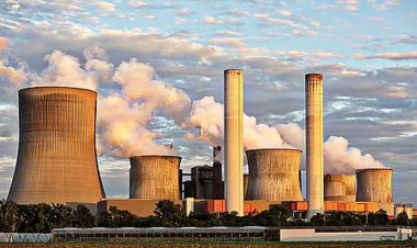 ताप विद्युत गृहों में बायोमास के उपयोग के लिये की जा रही कार्रवाई की हुई समीक्षा