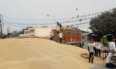 इंदौर में 13 किसानों पर एफआईआर:फसल अवशेष जलाने का मामला, सार्वजनिक अवकाश में भी जारी रहेगी गेहूं खरीदी