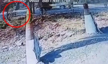 एक्टिंग ही नहीं, क्रिकेट में भी उस्ताद हैं रितेश देशमुख, बल्ले से लगाए धड़ाधड़ शॉट