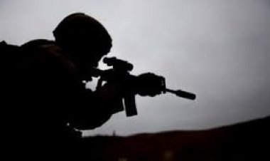 उत्तर-पश्चिमी नाइजीरिया में बंदूकधारियों के हमले में कम से कम 20 लोगों की मौत: मानवाधिकार समूह