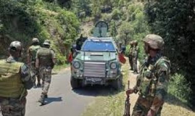 पहलगाम हमला: पाकिस्तान के विरोध प्रदर्शन के जवाब में बड़ी संख्या में प्रवासी भारतीय इकट्ठा हुए