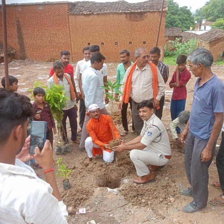 केशवगढ़ की अमृत वाटिका में 200 से ज्यादा पौधे लगे:पंचायत टैंकर से हो रही सिंचाई, पर्यावरण संरक्षण के लिए स्कूली बच्चों को भी जोड़ा