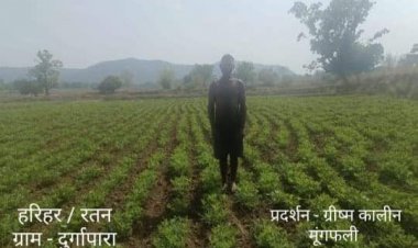 ग्रीष्मकालीन मौसम में धान के बदले दलहन-तिलहन लगाकर किसान कमा रहे हैं बढिय़ा मुनाफा