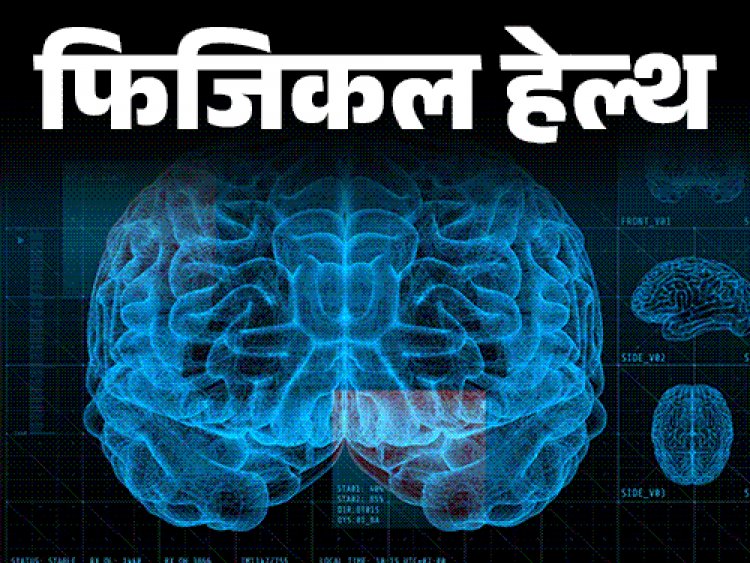 फिजिकल हेल्थ- भावनाओं पर कंट्रोल खोने से होती हैं गलतियां:जानें क्या है एमिग्डला हाइजैक, गुस्से, डर या खुशी में बेकाबू होते हैं तो कैसे बचें?