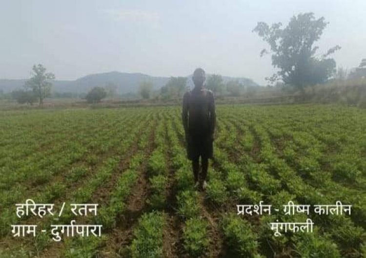 ग्रीष्मकालीन मौसम में धान के बदले दलहन-तिलहन लगाकर किसान कमा रहे हैं बढिय़ा मुनाफा