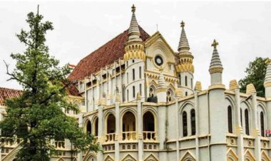 HC ने बहुचर्चित नर्सिंग कालेज फर्जीवाड़े से जुड़े सभी मामलों की सुनवाई जुलाई माह से अब दिन-प्रतिदिन करने की व्यवस्था दी