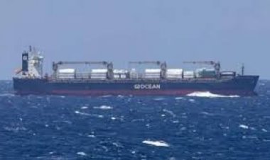 लाल सागर में मालवाहक जहाज पर हमला, चालक दल के दो सदस्यों की मौत