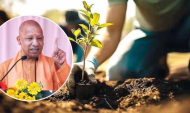 एक पेड़ मां के नाम:  पौधरोपण कर इनके संरक्षण के लिए करें काम मुख्यमंत्री योगी
