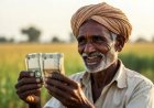 धान किसानों को बड़ी राहत, ₹10,000 करोड़ से अधिक की सहायता राशि को मंजूरी।