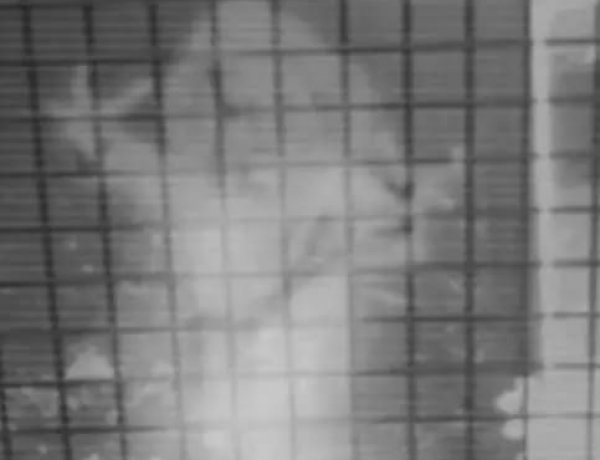 अंबिकापुर: श्मशान में गूंजी रहस्यमयी आवाज! बुलडोजर रुकवाने उतरी ‘आत्मा’ या अंधविश्वास? घाटबर्रा में दहशत