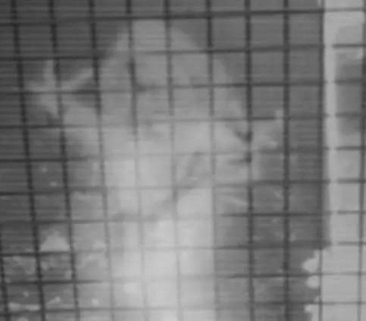 अंबिकापुर: श्मशान में गूंजी रहस्यमयी आवाज! बुलडोजर रुकवाने उतरी ‘आत्मा’ या अंधविश्वास? घाटबर्रा में दहशत