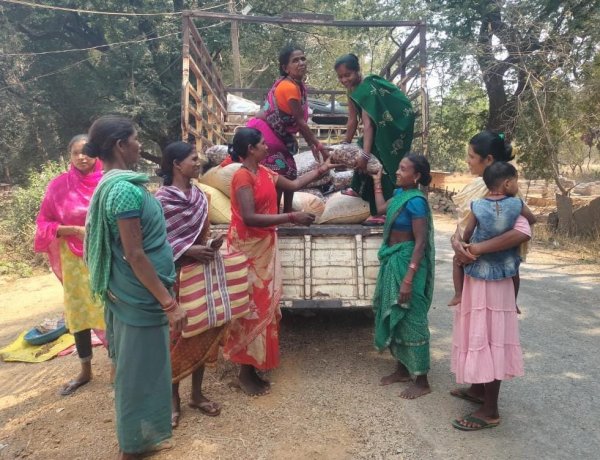 वनांचल की किस्मत बदलने वाली फसल साबित हुई इमली