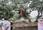 Kanker News: रात में बिना बताए घर से निकला 21 वर्षीय युवक, दोपहर पेड़ पर फंदे से लटका मिला शव